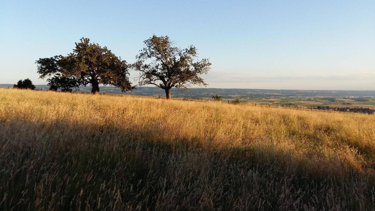Au Dessus De Parady Gillonnay Kültér fotó